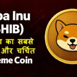 Shiba Inu (SHIB) क्या है?