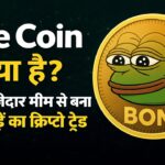 Pepe Coin क्या है